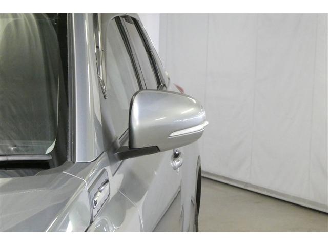 �^�[�������v�t���h�A�~���[�ł��B