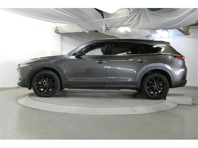 �ԑ̂��傫�����肵�Ă���̂ŁA���S�n���ǂ��ł���I