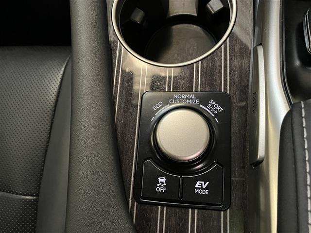 RX RX450h バージョンL TVナビ エアロ 革S 横滑り防止機能 キーレス 100V エアバッグ 地デジ エアコン アルミホイール LEDヘッド 盗難防止装置 ABS DVD ミュージックプレイヤー接続可 メモリナビ ETC(25枚目)