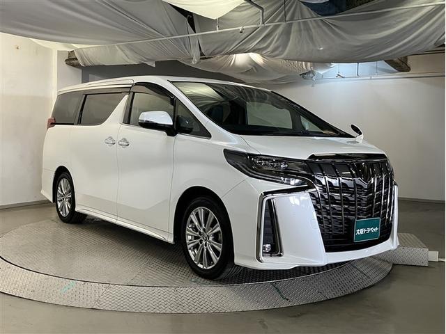 アルファード 2.5S タイプゴールドII 100V アルミ フルフラット 地デジ 後カメラ LEDライト リアエアコン クルーズコントロール ダブルサンルーフ 3列 エアロ ナビ&TV 盗難防止 エアバッグ キーレス メモリーナビ ABS(3枚目)