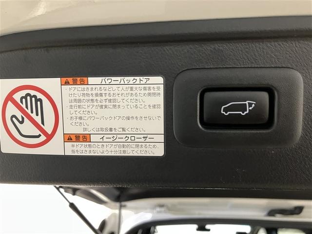 アルファード 2.5S タイプゴールドII 100V アルミ フルフラット 地デジ 後カメラ LEDライト リアエアコン クルーズコントロール ダブルサンルーフ 3列 エアロ ナビ&TV 盗難防止 エアバッグ キーレス メモリーナビ ABS(10枚目)