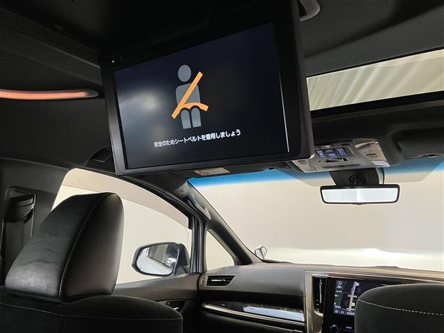 アルファード 2.5S タイプゴールドII 100V アルミ フルフラット 地デジ 後カメラ LEDライト リアエアコン クルーズコントロール ダブルサンルーフ 3列 エアロ ナビ&TV 盗難防止 エアバッグ キーレス メモリーナビ ABS(19枚目)