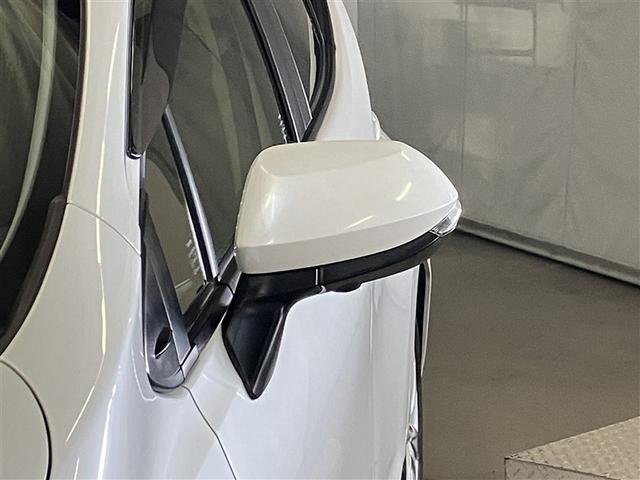 �^�[�������v�t���h�A�~���[�ł��B