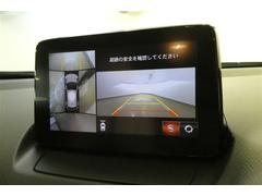 �����ξ㳲ʪ�⺣�ޤǸ����ʤ��ä���Ѥ����̵�������˰����Ǥ��� 2