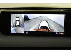 �����ξ㳲ʪ�⺣�ޤǸ����ʤ��ä���Ѥ����̵�������˰����Ǥ��� 2