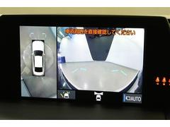 �����ξ㳲ʪ�⺣�ޤǸ����ʤ��ä���Ѥ����̵�������˰����Ǥ��� 2