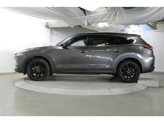 ���Τ��礭�����ꤷ�Ƥ���Τǡ���꿴�Ϥ��ɤ��Ǥ��衪 4