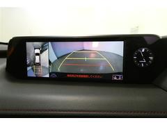 �¿��ΥХå���˥����������ɤ����ä���֤Ǥ�褯�����ޤ��� 2