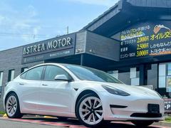 ȥѥåȡϥ顡峤ǥ롡ϣУߡѥΥޥ饹롼աۥ磻ȥƥꥢۥ磻ȥ쥶ȡѥȡȥҡ󥪡ʡţԣạ́ţ 3