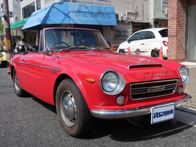 ＳＲ３１１　ＤＡＴＳＵＮ　ＦＡＩＲＬＡＤＹ(9枚目)