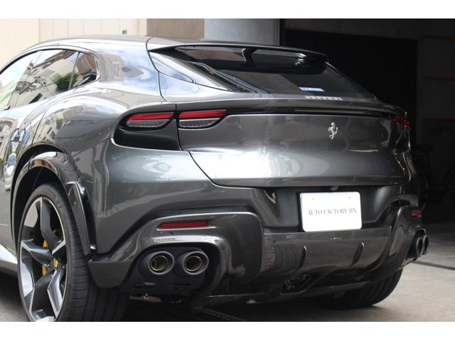 プロサングエ (9枚目)