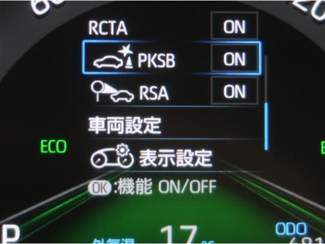 ＲＡＶ４ Ｇ　ナビ・ＴＶ　Ｂカメラ　パワーウインドウ　カーテンエアバック　運転席パワーシート　イモビライザー　地デジ　キーレス　ＥＴＣ付　ＬＥＤヘッドライ　クルコン　オートエアコン　横滑り防止装置　４ＷＤ車　ＤＶＤ（17枚目）