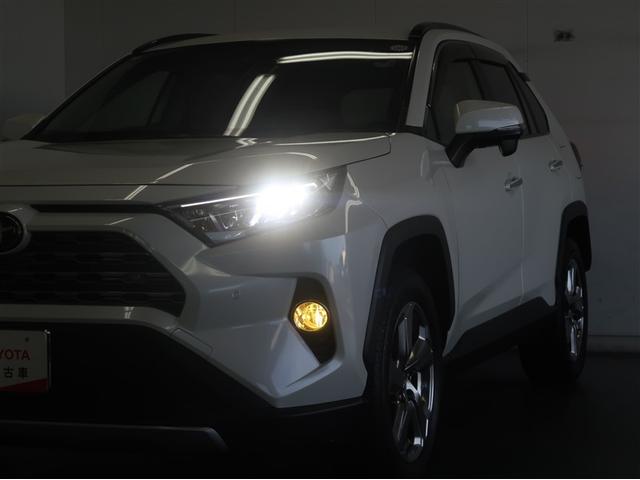 ＲＡＶ４ Ｇ　ナビ・ＴＶ　Ｂカメラ　パワーウインドウ　カーテンエアバック　運転席パワーシート　イモビライザー　地デジ　キーレス　ＥＴＣ付　ＬＥＤヘッドライ　クルコン　オートエアコン　横滑り防止装置　４ＷＤ車　ＤＶＤ（30枚目）