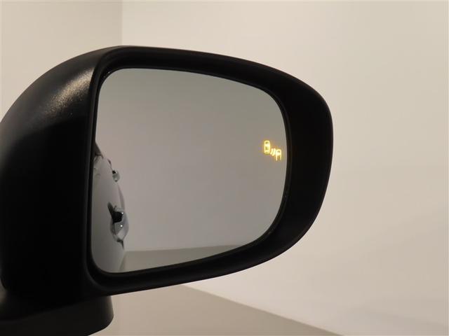 ライズ Ｇ　フルセグ　メモリーナビ　ＤＶＤ再生　バックカメラ　衝突被害軽減システム　ＥＴＣ　ドラレコ　ＬＥＤヘッドランプ　記録簿　アイドリングストップ（30枚目）