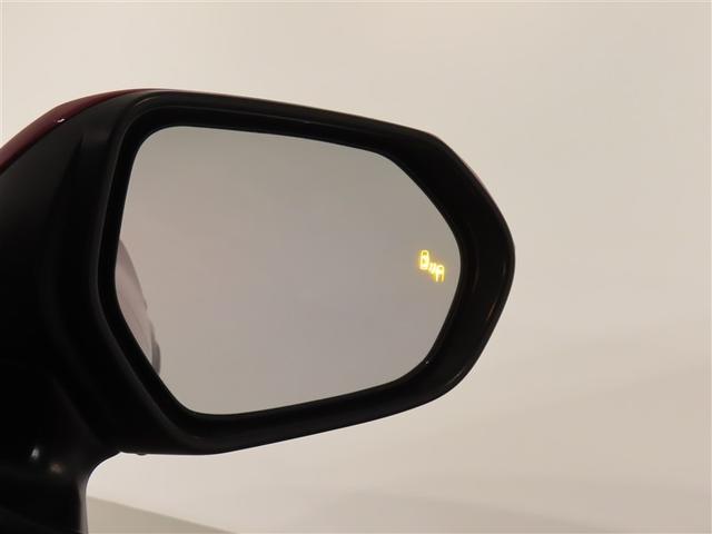 �u���C���h�X�|�b�g���j�^�[�i�a�r�l�j