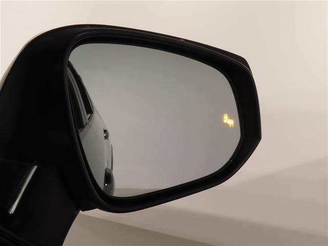 �u���C���h�X�|�b�g���j�^�[�i�a�r�l�j