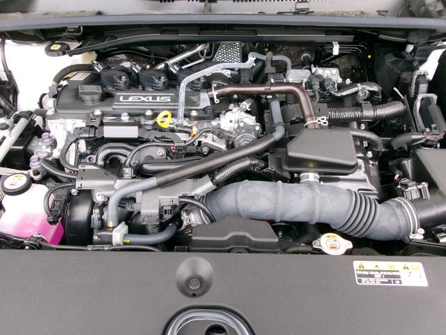 ＬＢＸ リラックス（17枚目）