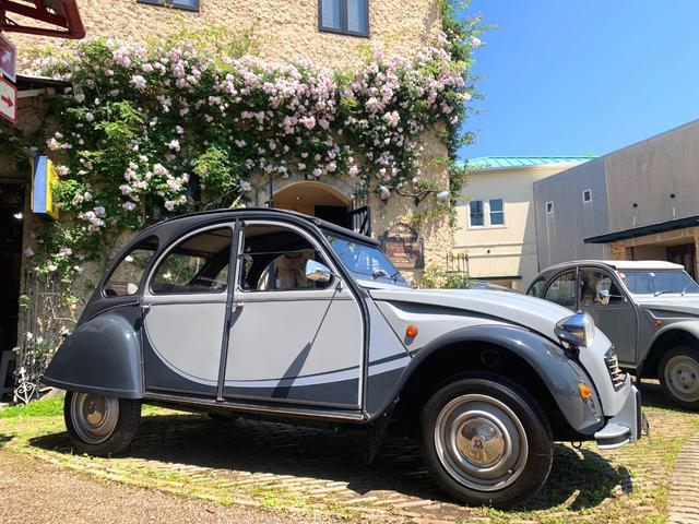 ２ＣＶ６ チャールストン（4枚目）