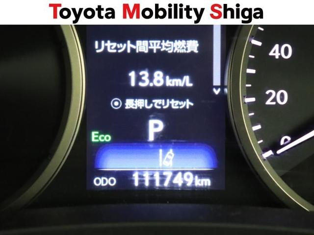 ＮＸ ＮＸ３００ｈ　スパイス＆シック　フルセグ　メモリーナビ　ＤＶＤ再生　ミュージックプレイヤー接続可　バックカメラ　衝突被害軽減システム　ＥＴＣ　ドラレコ　ＬＥＤヘッドランプ　ワンオーナー（16枚目）