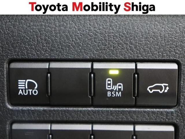 ＮＸ ＮＸ３００ｈ　スパイス＆シック　フルセグ　メモリーナビ　ＤＶＤ再生　ミュージックプレイヤー接続可　バックカメラ　衝突被害軽減システム　ＥＴＣ　ドラレコ　ＬＥＤヘッドランプ　ワンオーナー（21枚目）