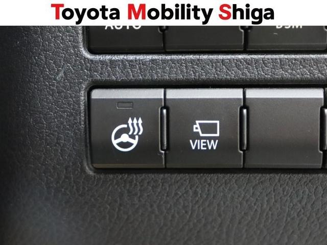ＮＸ ＮＸ３００ｈ　スパイス＆シック　フルセグ　メモリーナビ　ＤＶＤ再生　ミュージックプレイヤー接続可　バックカメラ　衝突被害軽減システム　ＥＴＣ　ドラレコ　ＬＥＤヘッドランプ　ワンオーナー（22枚目）