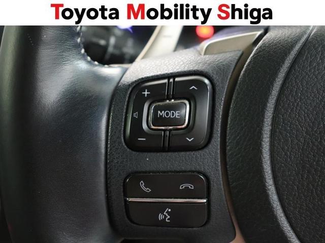ＮＸ ＮＸ３００ｈ　スパイス＆シック　フルセグ　メモリーナビ　ＤＶＤ再生　ミュージックプレイヤー接続可　バックカメラ　衝突被害軽減システム　ＥＴＣ　ドラレコ　ＬＥＤヘッドランプ　ワンオーナー（24枚目）