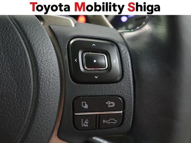 ＮＸ ＮＸ３００ｈ　スパイス＆シック　フルセグ　メモリーナビ　ＤＶＤ再生　ミュージックプレイヤー接続可　バックカメラ　衝突被害軽減システム　ＥＴＣ　ドラレコ　ＬＥＤヘッドランプ　ワンオーナー（25枚目）