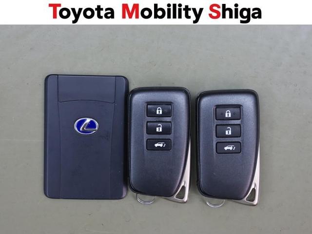 ＮＸ ＮＸ３００ｈ　スパイス＆シック　フルセグ　メモリーナビ　ＤＶＤ再生　ミュージックプレイヤー接続可　バックカメラ　衝突被害軽減システム　ＥＴＣ　ドラレコ　ＬＥＤヘッドランプ　ワンオーナー（30枚目）