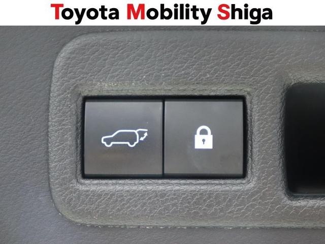 ＮＸ ＮＸ３００ｈ　スパイス＆シック　フルセグ　メモリーナビ　ＤＶＤ再生　ミュージックプレイヤー接続可　バックカメラ　衝突被害軽減システム　ＥＴＣ　ドラレコ　ＬＥＤヘッドランプ　ワンオーナー（31枚目）