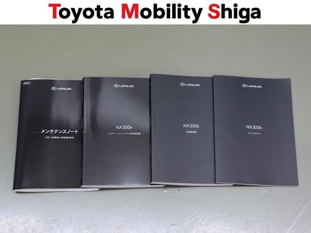 ＮＸ ＮＸ３００ｈ　スパイス＆シック　フルセグ　メモリーナビ　ＤＶＤ再生　ミュージックプレイヤー接続可　バックカメラ　衝突被害軽減システム　ＥＴＣ　ドラレコ　ＬＥＤヘッドランプ　ワンオーナー（33枚目）