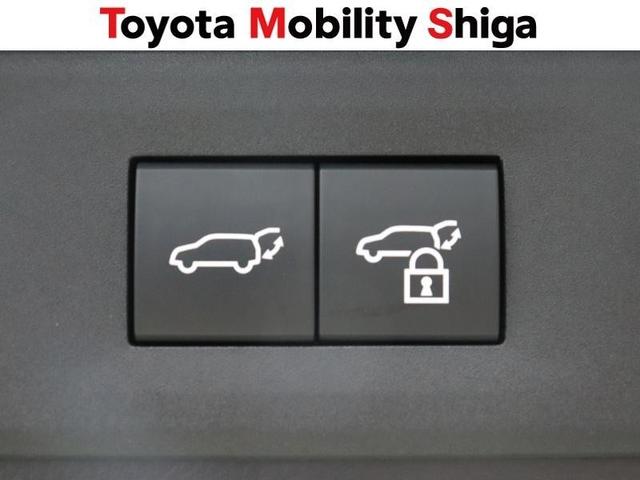 NX NX350h バージョンL 革シート フルセグ メモリーナビ ミュージックプレイヤー接続可 バックカメラ 衝突被害軽減システム ETC LEDヘッドランプ ワンオーナー(30枚目)