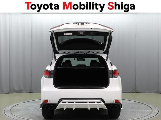 ＲＸ ＲＸ３００　Ｆスポーツ　革シート　フルセグ　メモリーナビ　ＤＶＤ再生　ミュージックプレイヤー接続可　バックカメラ　衝突被害軽減システム　ＥＴＣ　ドラレコ　ＬＥＤヘッドランプ　ワンオーナー　フルエアロ　アイドリングストップ（9枚目）