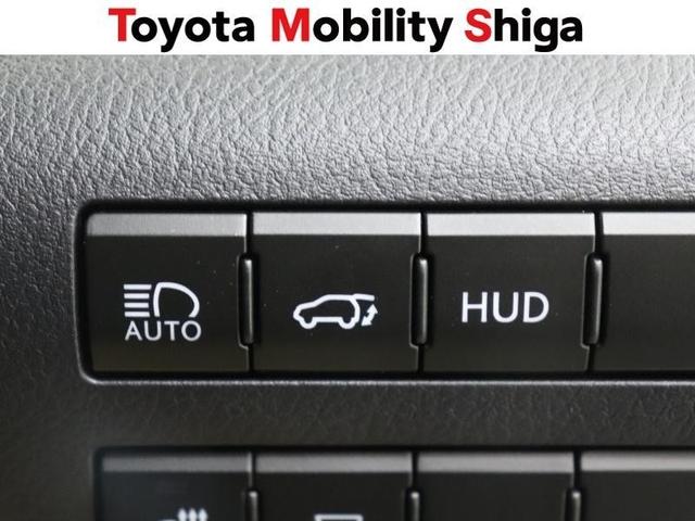 ＲＸ ＲＸ３００　Ｆスポーツ　革シート　フルセグ　メモリーナビ　ＤＶＤ再生　ミュージックプレイヤー接続可　バックカメラ　衝突被害軽減システム　ＥＴＣ　ドラレコ　ＬＥＤヘッドランプ　ワンオーナー　フルエアロ　アイドリングストップ（17枚目）