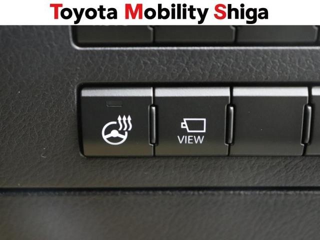 ＲＸ ＲＸ３００　Ｆスポーツ　革シート　フルセグ　メモリーナビ　ＤＶＤ再生　ミュージックプレイヤー接続可　バックカメラ　衝突被害軽減システム　ＥＴＣ　ドラレコ　ＬＥＤヘッドランプ　ワンオーナー　フルエアロ　アイドリングストップ（18枚目）