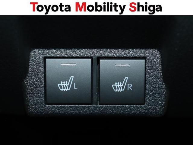 ムーヴキャンバス ストライプスＧ　衝突被害軽減システム　両側電動スライド　ＬＥＤヘッドランプ　アイドリングストップ（24枚目）