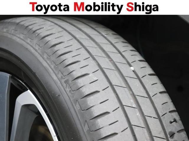 ライズ Ｚ　フルセグ　メモリーナビ　ＤＶＤ再生　ミュージックプレイヤー接続可　バックカメラ　衝突被害軽減システム　ＥＴＣ　ドラレコ　ＬＥＤヘッドランプ　ワンオーナー　アイドリングストップ（19枚目）