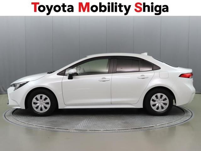 �O�����v���̎�ɂ�����Y��ɍו��܂Ŗ����グ�Ă���܂��B