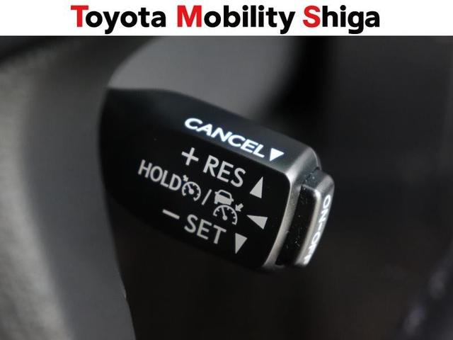 アルファード ２．５Ｓ　Ｃパッケージ　サンルーフ　フルセグ　メモリーナビ　ミュージックプレイヤー接続可　後席モニター　バックカメラ　衝突被害軽減システム　ＥＴＣ　ドラレコ　両側電動スライド　ＬＥＤヘッドランプ　乗車定員７人　３列シート（28枚目）