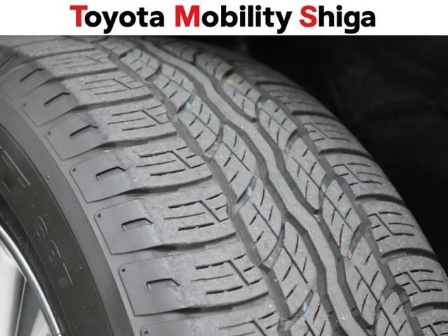 ハリアー プレミアム　アドバンスドパッケージ　フルセグ　メモリーナビ　ＤＶＤ再生　ミュージックプレイヤー接続可　バックカメラ　衝突被害軽減システム　ＥＴＣ　ＬＥＤヘッドランプ　ワンオーナー（20枚目）