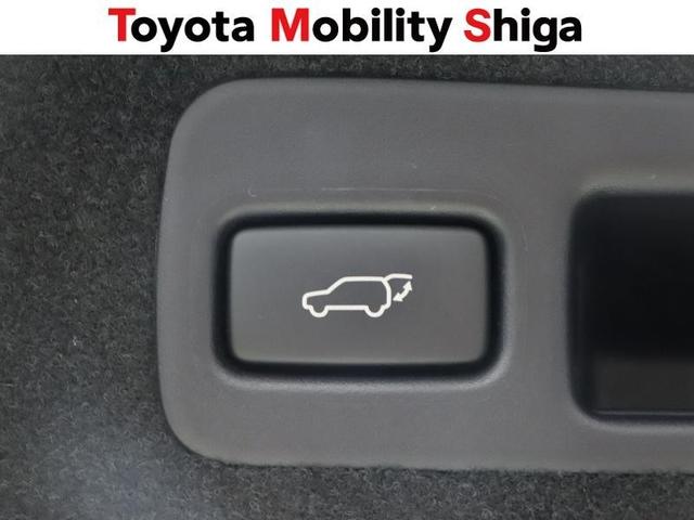 ハリアー プレミアム　アドバンスドパッケージ　フルセグ　メモリーナビ　ＤＶＤ再生　ミュージックプレイヤー接続可　バックカメラ　衝突被害軽減システム　ＥＴＣ　ＬＥＤヘッドランプ　ワンオーナー（31枚目）