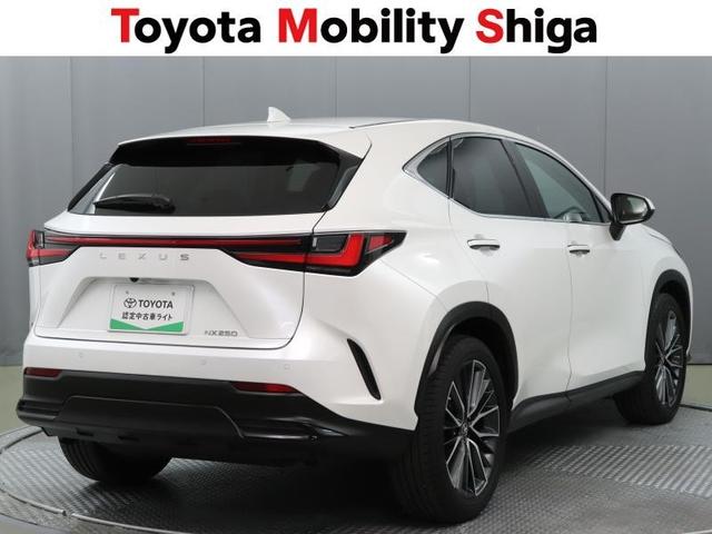 NX NX250 バージョンL 革シート サンルーフ フルセグ メモリーナビ ミュージックプレイヤー接続可 バックカメラ 衝突被害軽減システム ETC LEDヘッドランプ アイドリングストップ(3枚目)