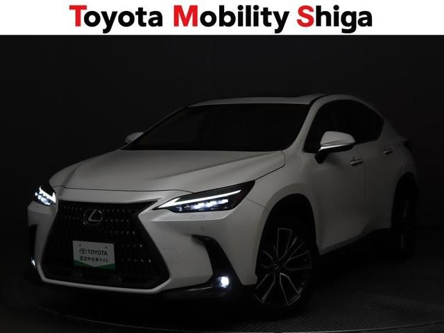 NX NX250 バージョンL 革シート サンルーフ フルセグ メモリーナビ ミュージックプレイヤー接続可 バックカメラ 衝突被害軽減システム ETC LEDヘッドランプ アイドリングストップ(8枚目)