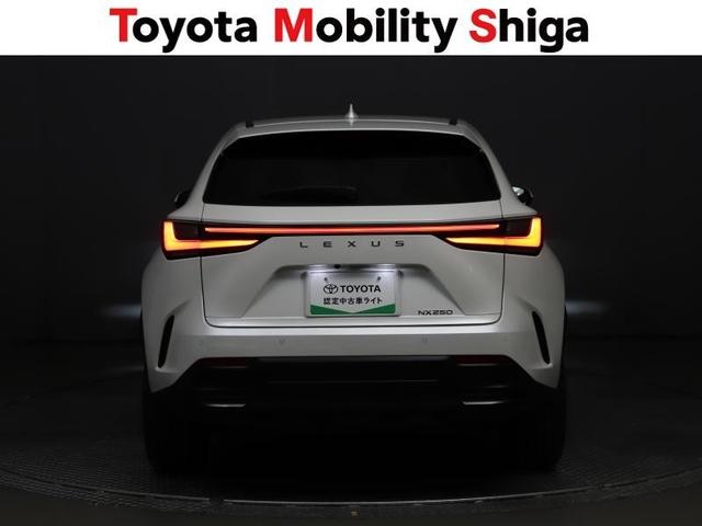 NX NX250 バージョンL 革シート サンルーフ フルセグ メモリーナビ ミュージックプレイヤー接続可 バックカメラ 衝突被害軽減システム ETC LEDヘッドランプ アイドリングストップ(10枚目)