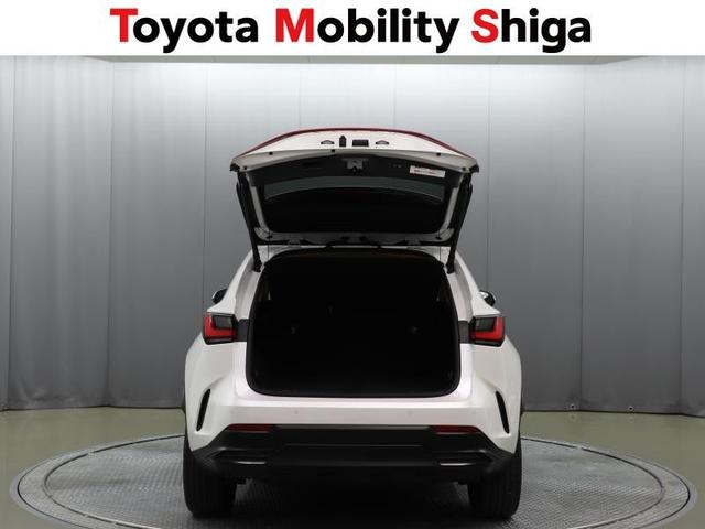 NX NX250 バージョンL 革シート サンルーフ フルセグ メモリーナビ ミュージックプレイヤー接続可 バックカメラ 衝突被害軽減システム ETC LEDヘッドランプ アイドリングストップ(14枚目)