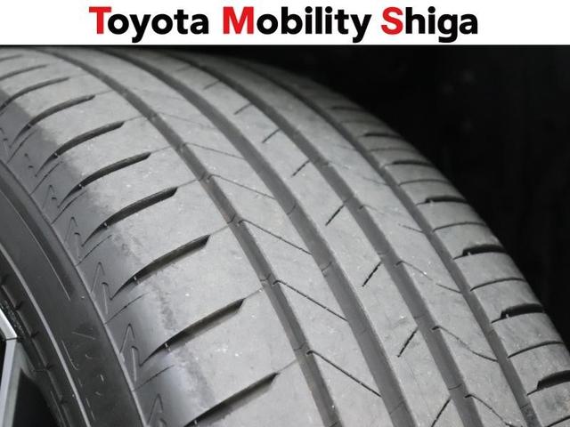 NX NX250 バージョンL 革シート サンルーフ フルセグ メモリーナビ ミュージックプレイヤー接続可 バックカメラ 衝突被害軽減システム ETC LEDヘッドランプ アイドリングストップ(21枚目)