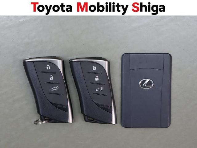 NX NX250 バージョンL 革シート サンルーフ フルセグ メモリーナビ ミュージックプレイヤー接続可 バックカメラ 衝突被害軽減システム ETC LEDヘッドランプ アイドリングストップ(22枚目)