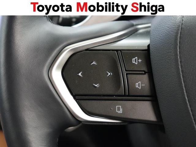 NX NX250 バージョンL 革シート サンルーフ フルセグ メモリーナビ ミュージックプレイヤー接続可 バックカメラ 衝突被害軽減システム ETC LEDヘッドランプ アイドリングストップ(27枚目)