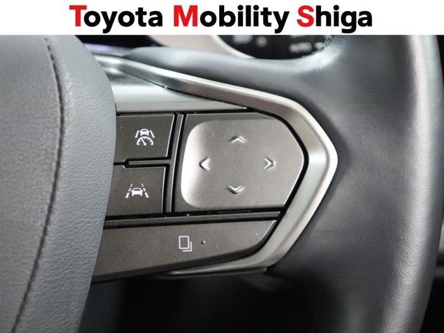 NX NX250 バージョンL 革シート サンルーフ フルセグ メモリーナビ ミュージックプレイヤー接続可 バックカメラ 衝突被害軽減システム ETC LEDヘッドランプ アイドリングストップ(28枚目)