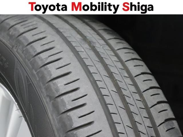 ノア Ｓ－Ｇ　フルセグ　メモリーナビ　ＤＶＤ再生　ミュージックプレイヤー接続可　後席モニター　バックカメラ　衝突被害軽減システム　ＥＴＣ　両側電動スライド　ＬＥＤヘッドランプ　乗車定員７人　３列シート　ワンオーナー（19枚目）