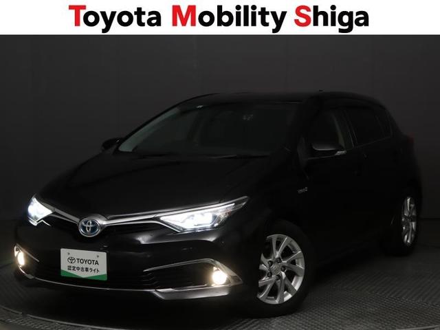 �w�b�h�����v�͖��邭���₷���k�d�c�w�b�h�����v�ł��B